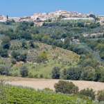 Il-Poggio-dei-Pettirossi-Montefalco-03
